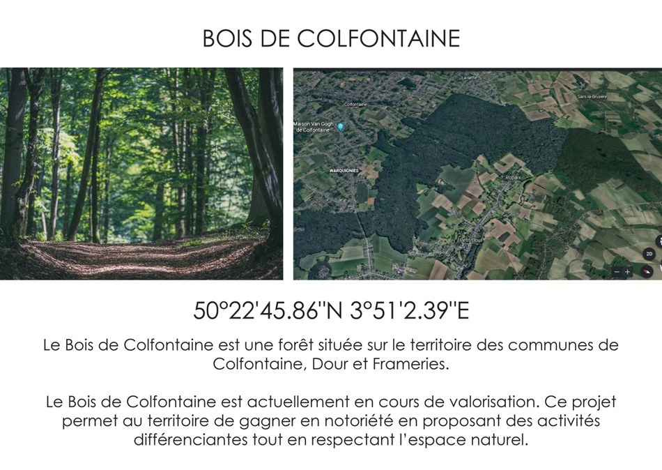 Le bois de Colfontaine