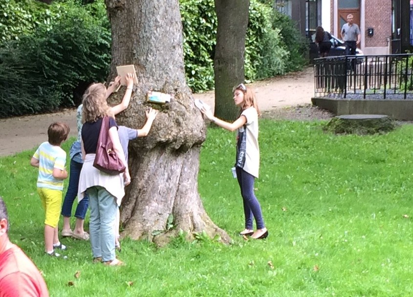 Les arbres qui lisent : une parenthèse enchantée dans le Parc de Dour 